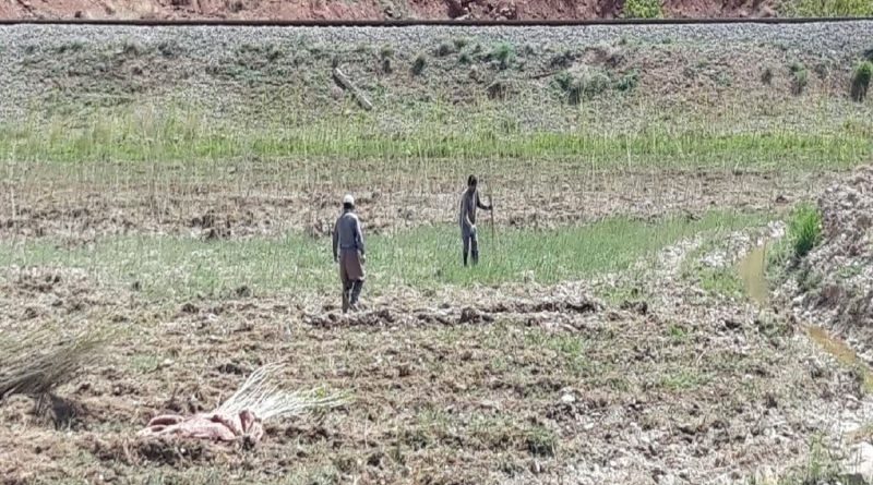 رفع تصرف بیش از 8 هزار متر مربع از بستر رودخانه حبله رود در محدوده شهرستان فیرورزکوه